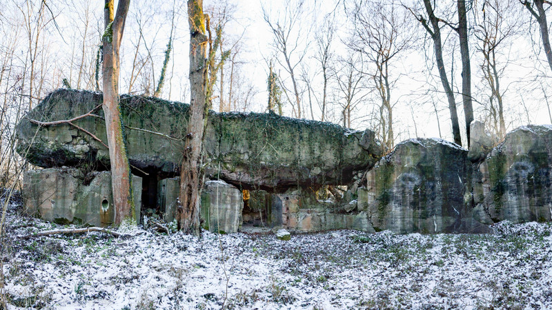 Gut erhaltene Reste eines Bunkers zwischen Bäumen in einer winterlichen Landschaft.